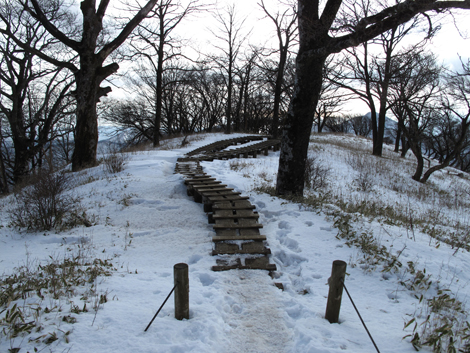 20170118hike (341)